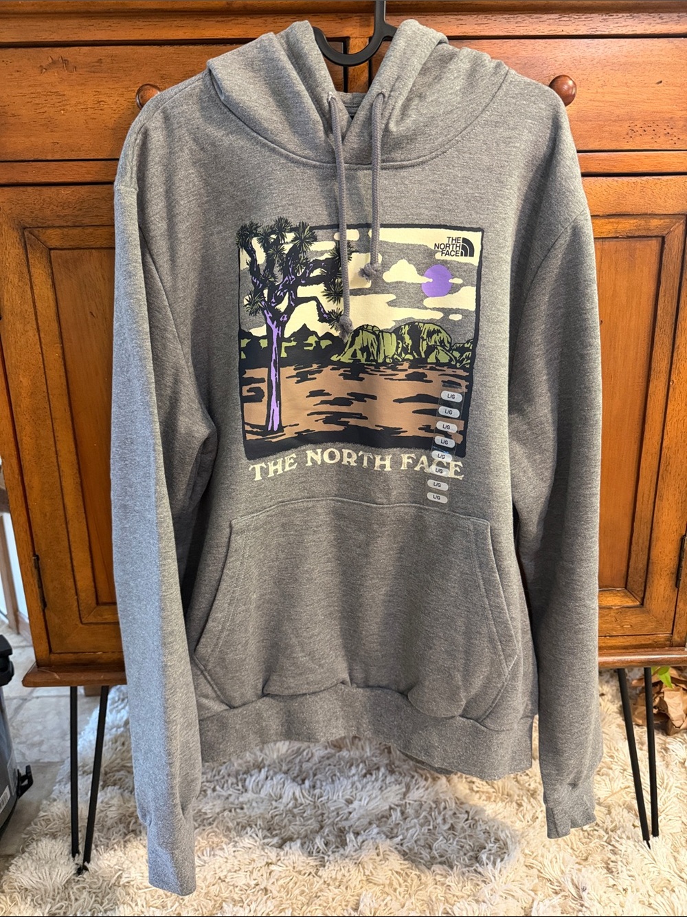 The North Face Men’s Gray Graphic Zip-Up Hoodie with Multicolor Landscape